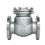Stainless Steel Swing Check Valve