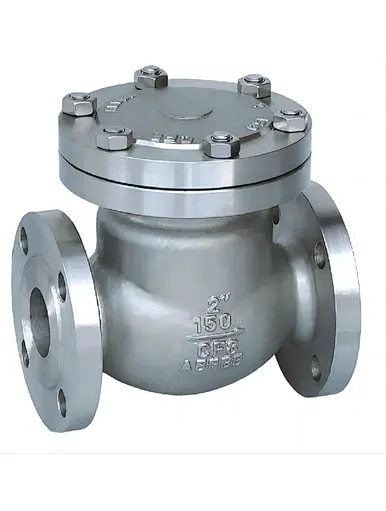 Stainless Steel Swing Check Valve